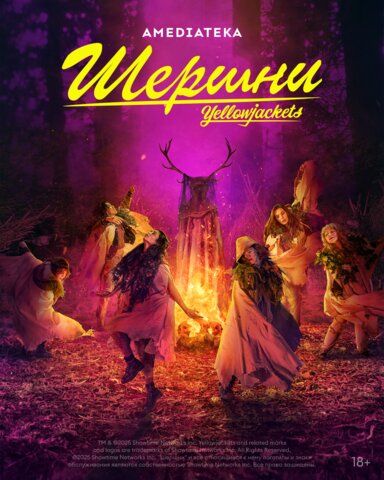 Шершни сериал 2021 смотреть онлайн бесплатно в хорошем качестве HD